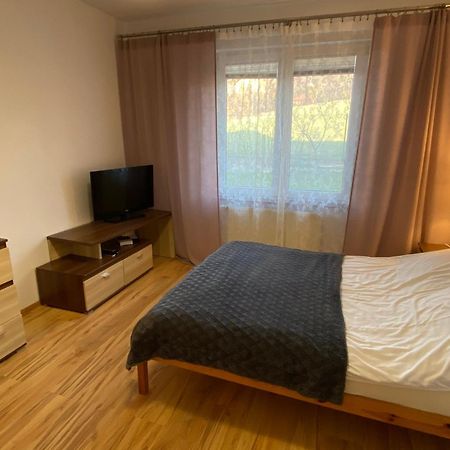 Apartament Zacisze Ustroń Exterior foto